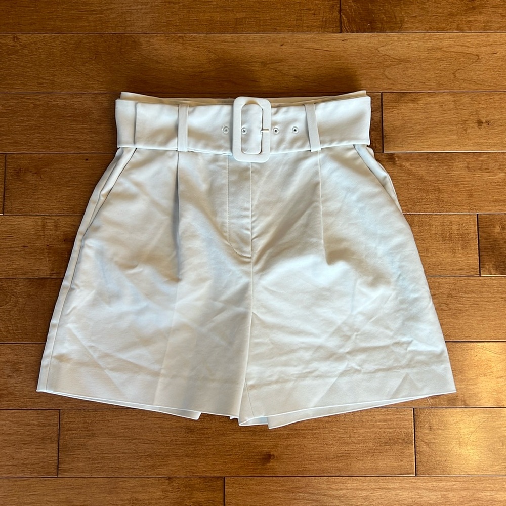 Aritzia Babaton Shorts